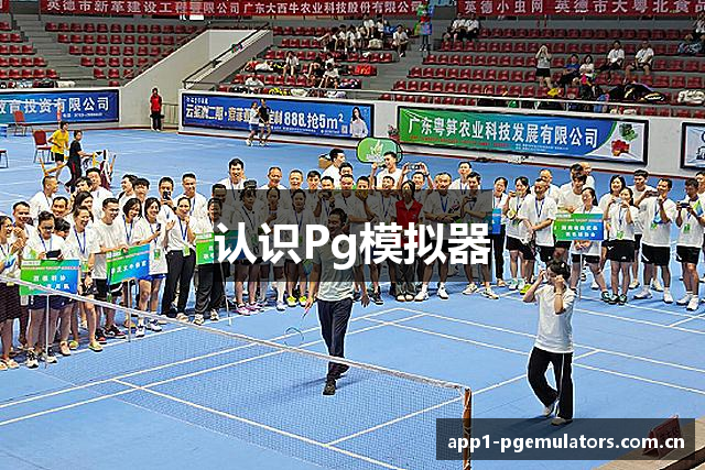 认识Pg模拟器